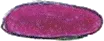 Dekorativer Farbstein in Magenta